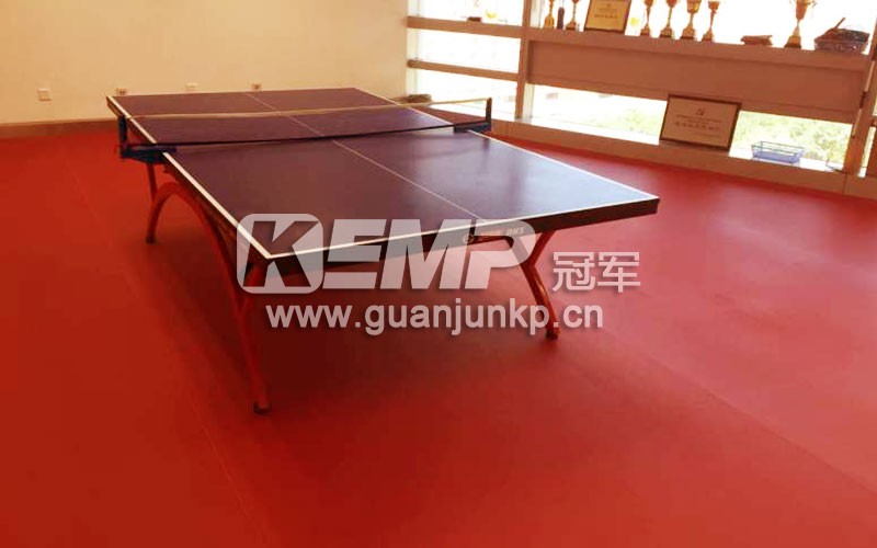 乒乓球?qū)Ｓ玫匕?/></p><p style=