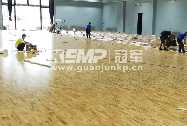 羽毛球?qū)嵞镜匕? border=