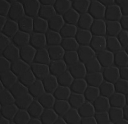 1597653712998656.jpg