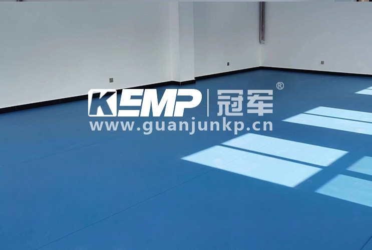 1673494938524217.jpg 運(yùn)動(dòng)地板